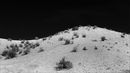 Kalahari Dune-M-Laubscher van der Merwe-Alta-4STAR