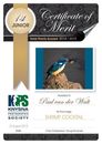 Knysna Photographic Society 2019 Photo Certificates 01