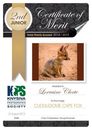 Knysna Photographic Society 2019 Photo Certificates 02
