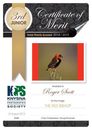 Knysna Photographic Society 2019 Photo Certificates 03