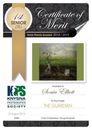 Knysna Photographic Society 2019 Photo Certificates 05