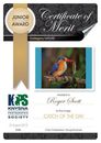 Knysna Photographic Society 2019 Photo Certificates 07