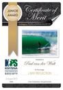 Knysna Photographic Society 2019 Photo Certificates 10