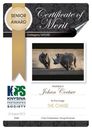Knysna Photographic Society 2019 Photo Certificates 12