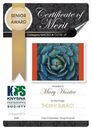 Knysna Photographic Society 2019 Photo Certificates 20