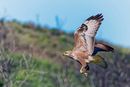 Lift off-N-Oosthuizen-Peter-3STAR