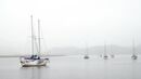 Misty moorings