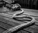 The Rope-M-Laubscher-Luana-MG