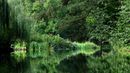 Tranquility