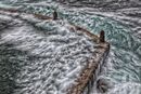 Vic Bay Tidal Pool-