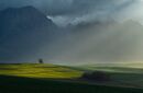 in the spotlight-