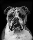 mildred perfectly posed