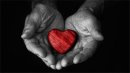 my heart belongs to you - carol phillips - Senior - Highly Commended
