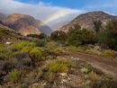 swartberg rainbow