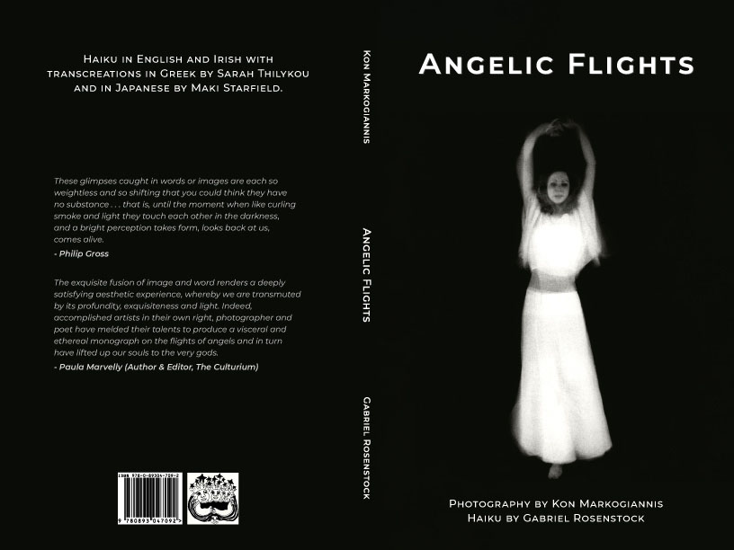 Angelic Cover Back Cover