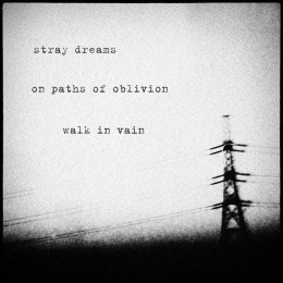 stray dreams