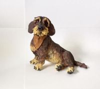 Wire haired dachshund
