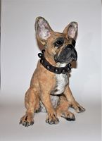 Frenchie