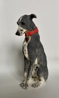 Sad lurcher