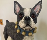 Bling Boston terrier
