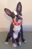 bling Boston terrier