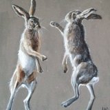 Boxing hares