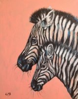 Peach zebras