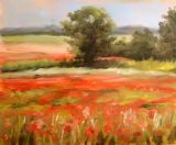 Poppy field