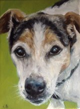 Jack Russell Terrier