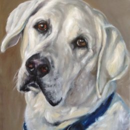 Labrador commission