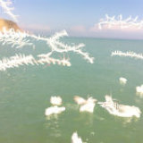 Fairlight Beach