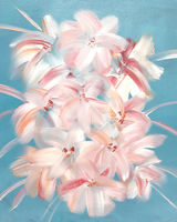 Bloom Burst £35