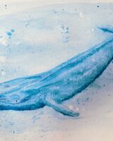 Blue Whale