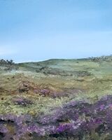Among the Heather