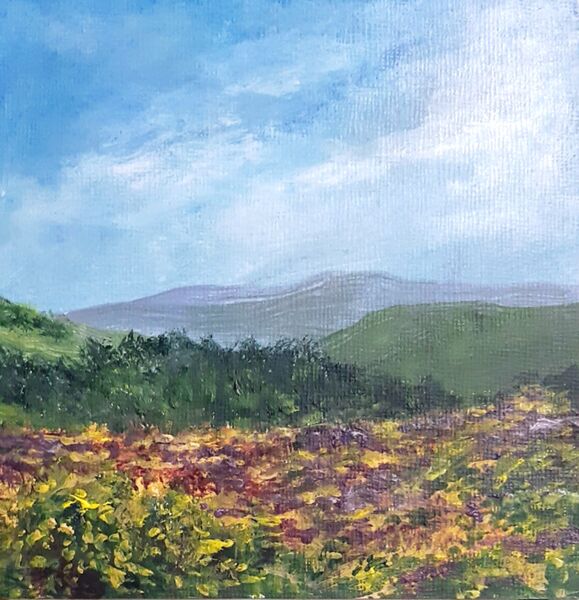 Gorse and Moor