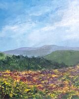 Gorse and Moor