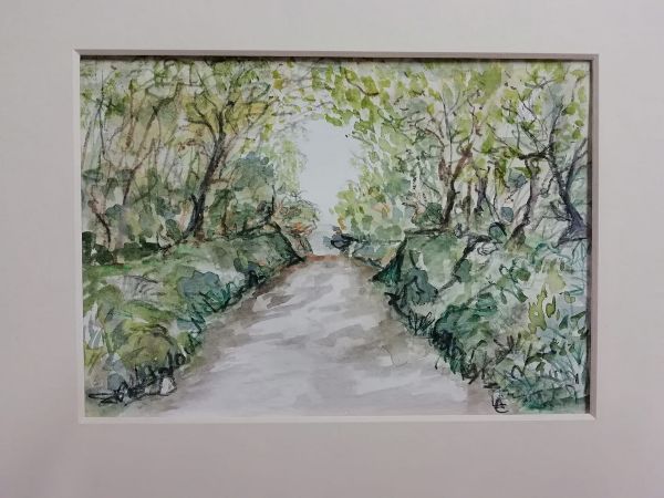 Muddiford road