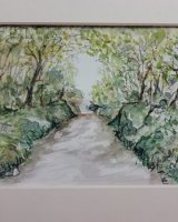 Muddiford Road £15