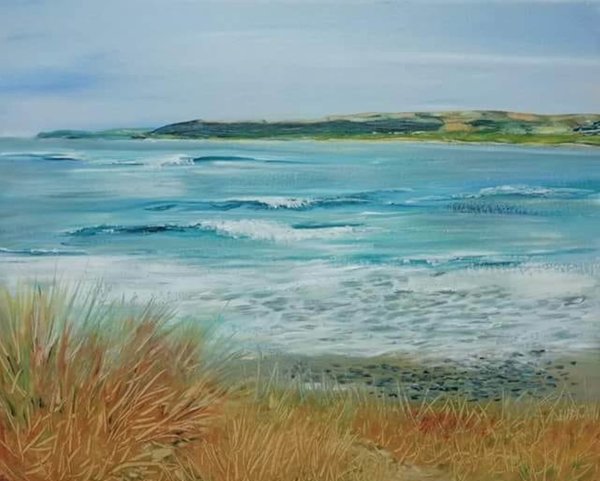 Torridge Estuary - The Race