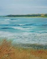 Torridge Estuary - The Race