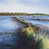 'Estuary'