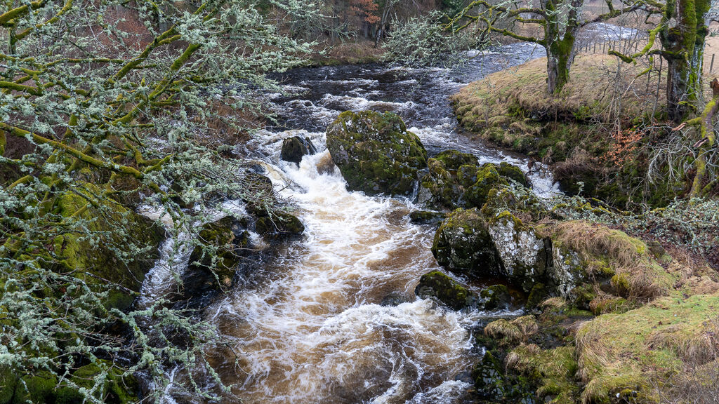 Babbling Brook