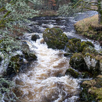 Babbling Brook
