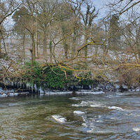 Cold walk down the clyde