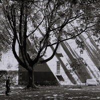 Discarded Sofa - mono