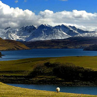 Grazing in the warmth