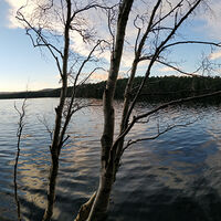 Loch Garten