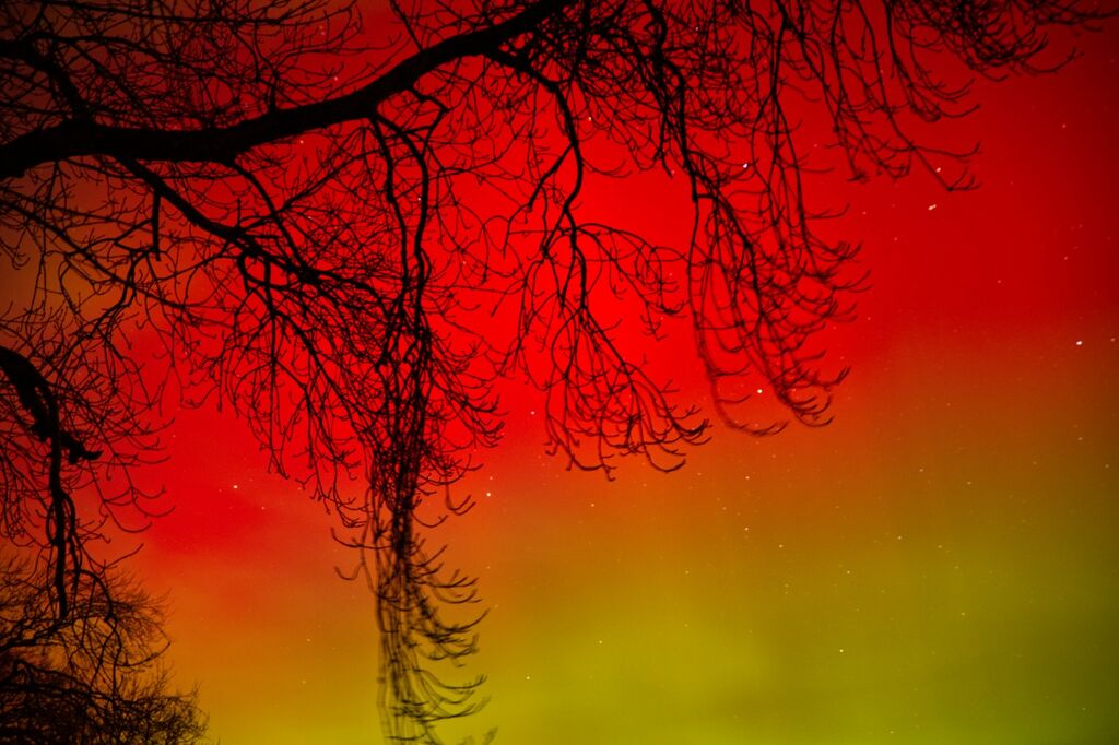 Northern Lights