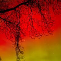 Northern Lights