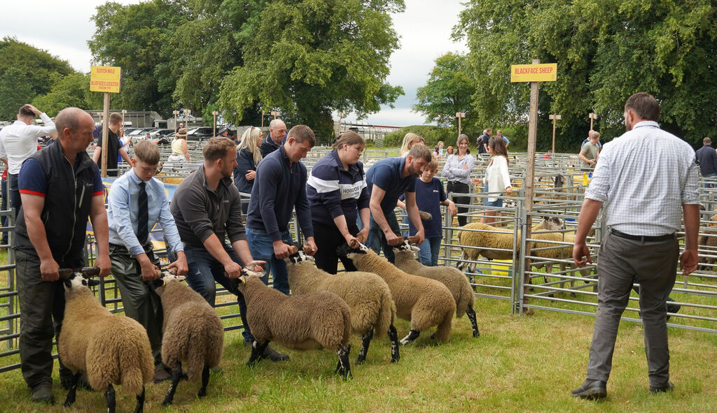 Tup Time